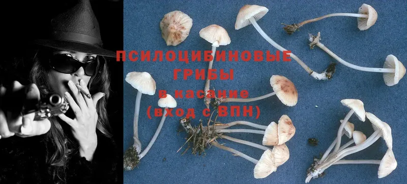 Галлюциногенные грибы MAGIC MUSHROOMS  хочу наркоту  Власиха 